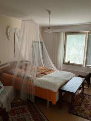 Kodikas makuuhuone yhteiskäytössä olevasta huoneistosta Tampere Kaleva